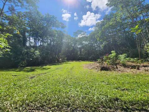 Hilo Rd, Pahoa, HI 96778