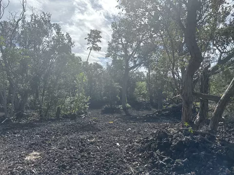 Undisclosed, Naalehu, HI 96737 photo 14