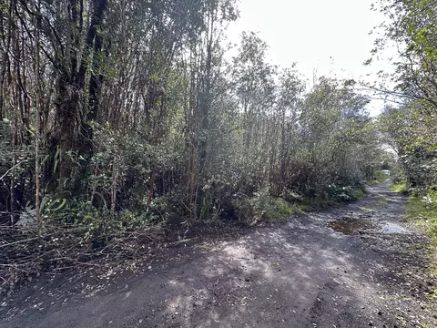 Road 13, Volcano, HI 96785