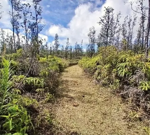 Road 6, Mountain View, HI 96760