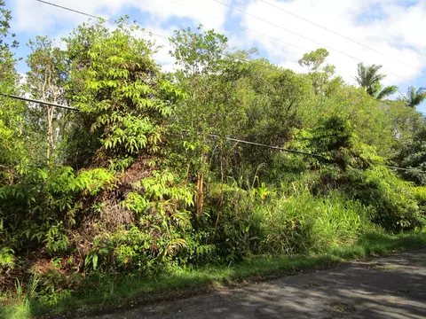 Palainui Ave, Mountain View, HI 96771