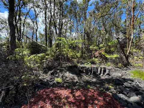 Mokuna St, Volcano, HI 96785