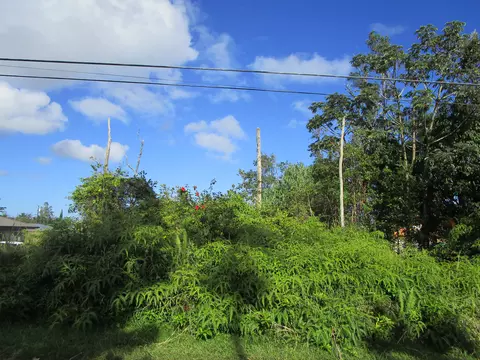 Paradise Dr, Pahoa, HI 96778