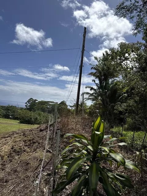 Kaueleau Rd, Pahoa, HI 96778