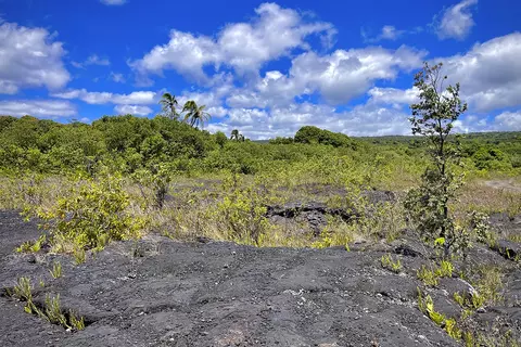 12-4786 Kaimu Chain Of Craters Rd, Pahoa, HI 96778