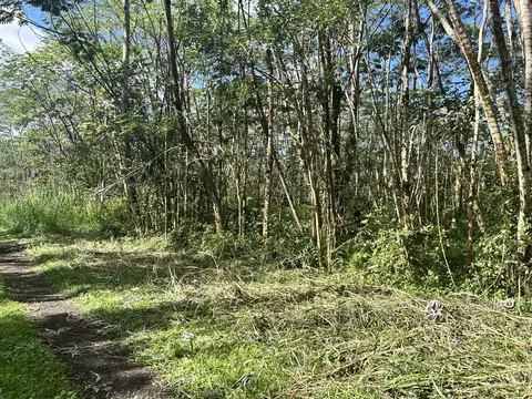 Pikake Rd, Pahoa, HI 96778