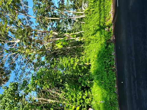 15-714 Kahakai Blvd, Pahoa, HI 96778