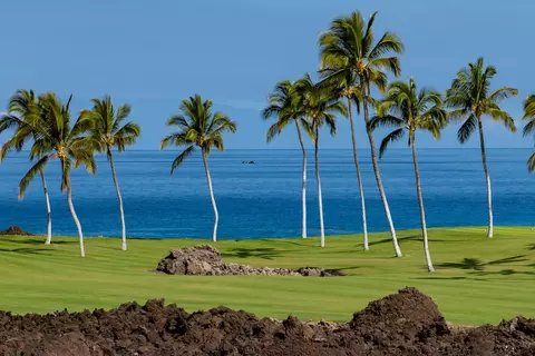 68-1050 Mauna Lani Point Dr #B 201, Kamuela, HI 96743