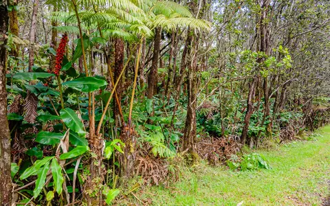11-3854 10th St, Volcano, HI 96785