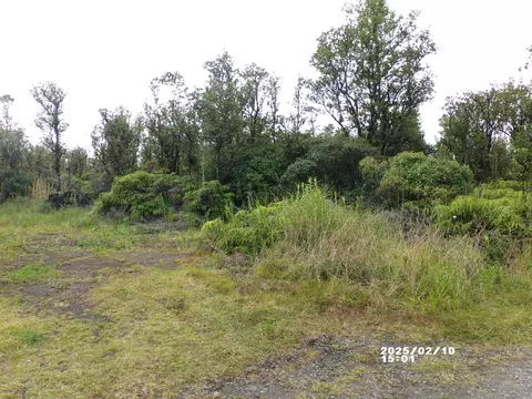Malia Aina Rd, Volcano, HI 96785