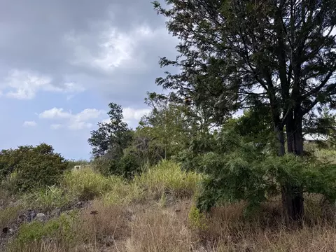 King Kamehameha Blvd, Ocean View, HI 96737