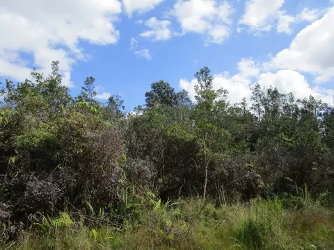 16-1677 Uhini Ana Rd, Mountain View, HI 96760