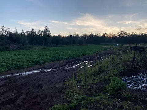 18-3931 Kopua Rd, Volcano, HI 96785