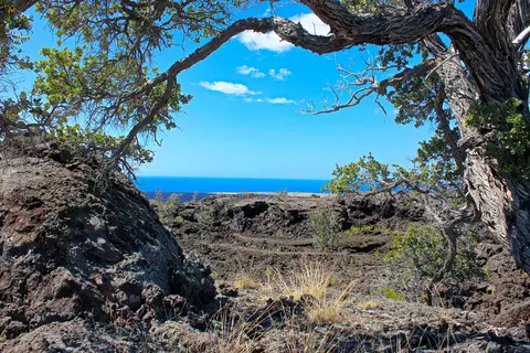 Road To The Sea, Ocean View, HI 96737