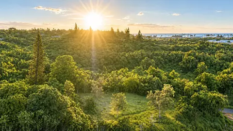 Apopo Rd, Kapaa, HI 96746