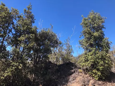 Ohia Dr, Ocean View, HI 96737 photo 3