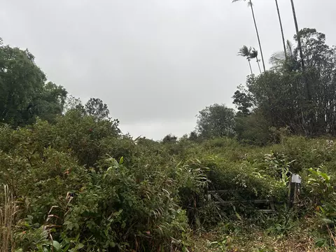 Volcano Rd, Volcano, HI 96785 photo 3