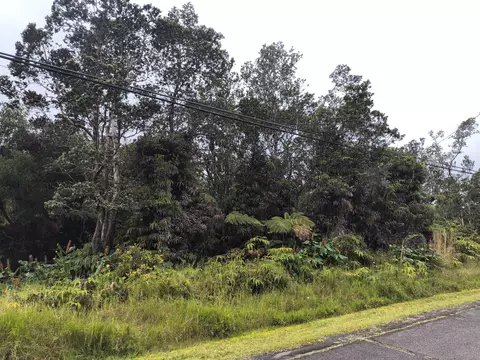 Old Volcano Rd, Volcano, HI 96785