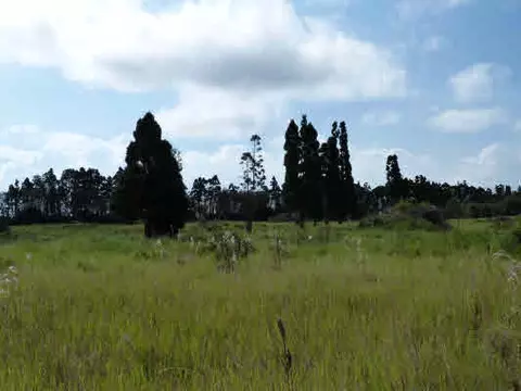 Volcano Hwy, Volcano, HI 96785
