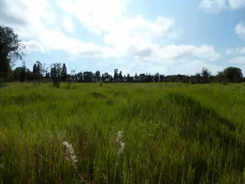 Volcano Hwy, Mountain View, HI 96785