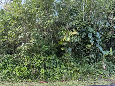 Moi St, Pahoa, HI 96778