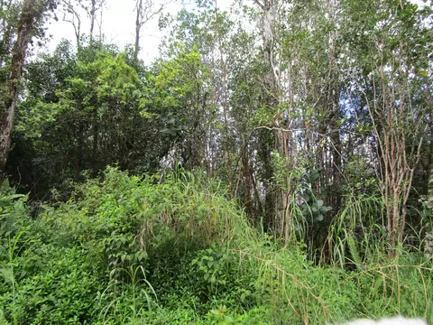36 Th Ave, Pahoa, HI 96778