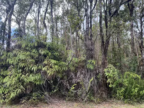 Punahele Ave, Mountain View, HI 96771