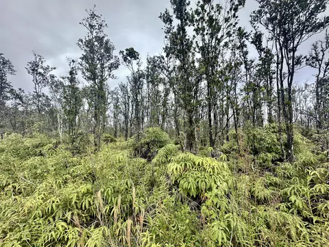 Noe Kuahiwi Rd, Volcano, HI 96785