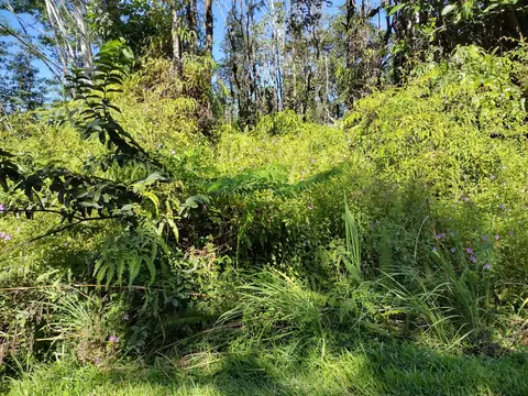 Forest Rd, Pahoa, HI 96778
