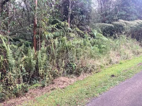 Road 5, Volcano, HI 96785 photo 3