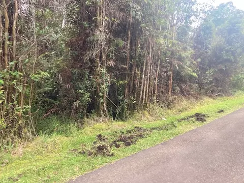 Road 5, Volcano, HI 96785 photo 2
