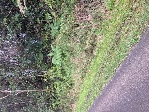 Road 5, Volcano, HI 96785 photo 5