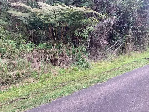 Road 5, Volcano, HI 96785 photo 4