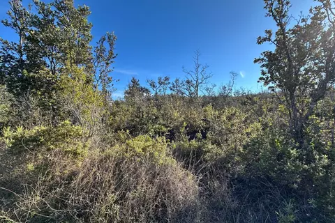 Koa Ln, Ocean View, HI 96737