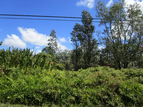 Pukalani Dr, Pahoa, HI 96778