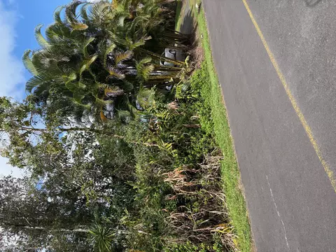 Sandalwood Dr, Pahoa, HI 96778