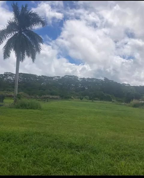 16-2245 Mamaka St, Keaau, HI 96749