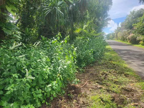 Pohakupele Lp, Pahoa, HI 96778