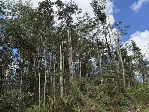 13-3360 Nohea St, Pahoa, HI 96778