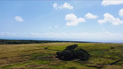 Undisclosed, Naalehu, HI 96772