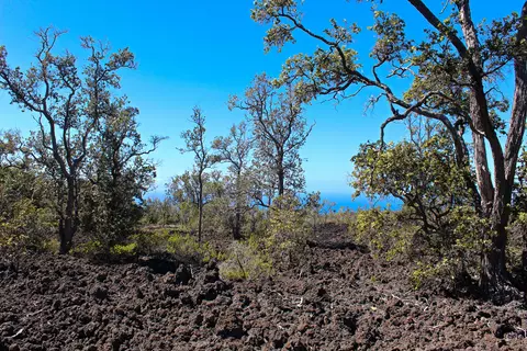 Aloha Blvd, Ocean View, HI 96737