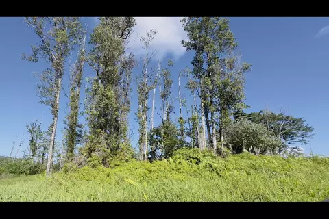 Emerald Dr, Pahoa, HI 96778