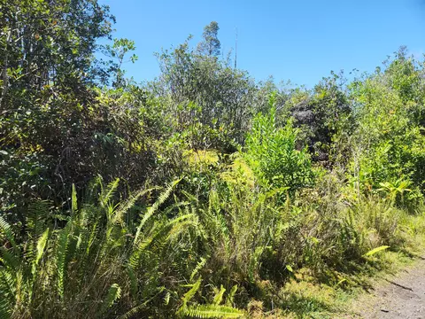 Road 6, Mountain View, HI 96760