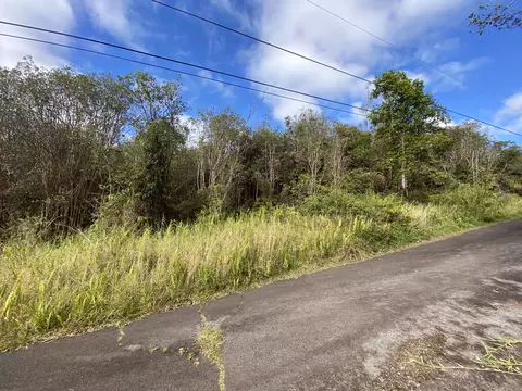 18-4167 Hinuhinu St, Volcano, HI 96785