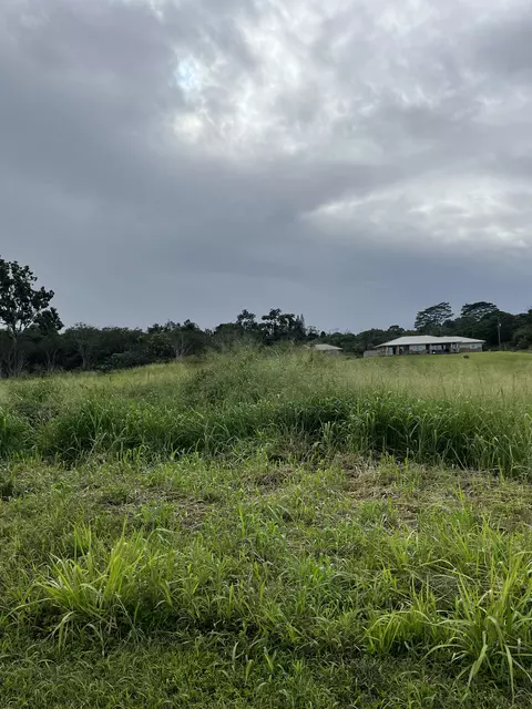 Young Rd, Hilo, HI 96720 photo 8