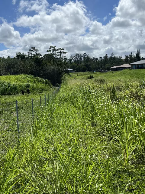 Young Rd, Hilo, HI 96720 photo 12