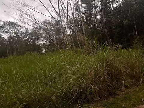 14-3586 Shell Rd, Pahoa, HI 96778