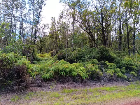 Waimaka O Pele Rd, Mountain View, HI 96771