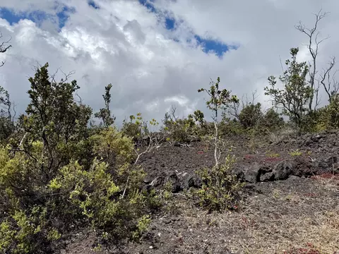 Reef Pkwy, Ocean View, HI 96737