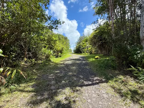 Road 4, Mountain View, HI 96760